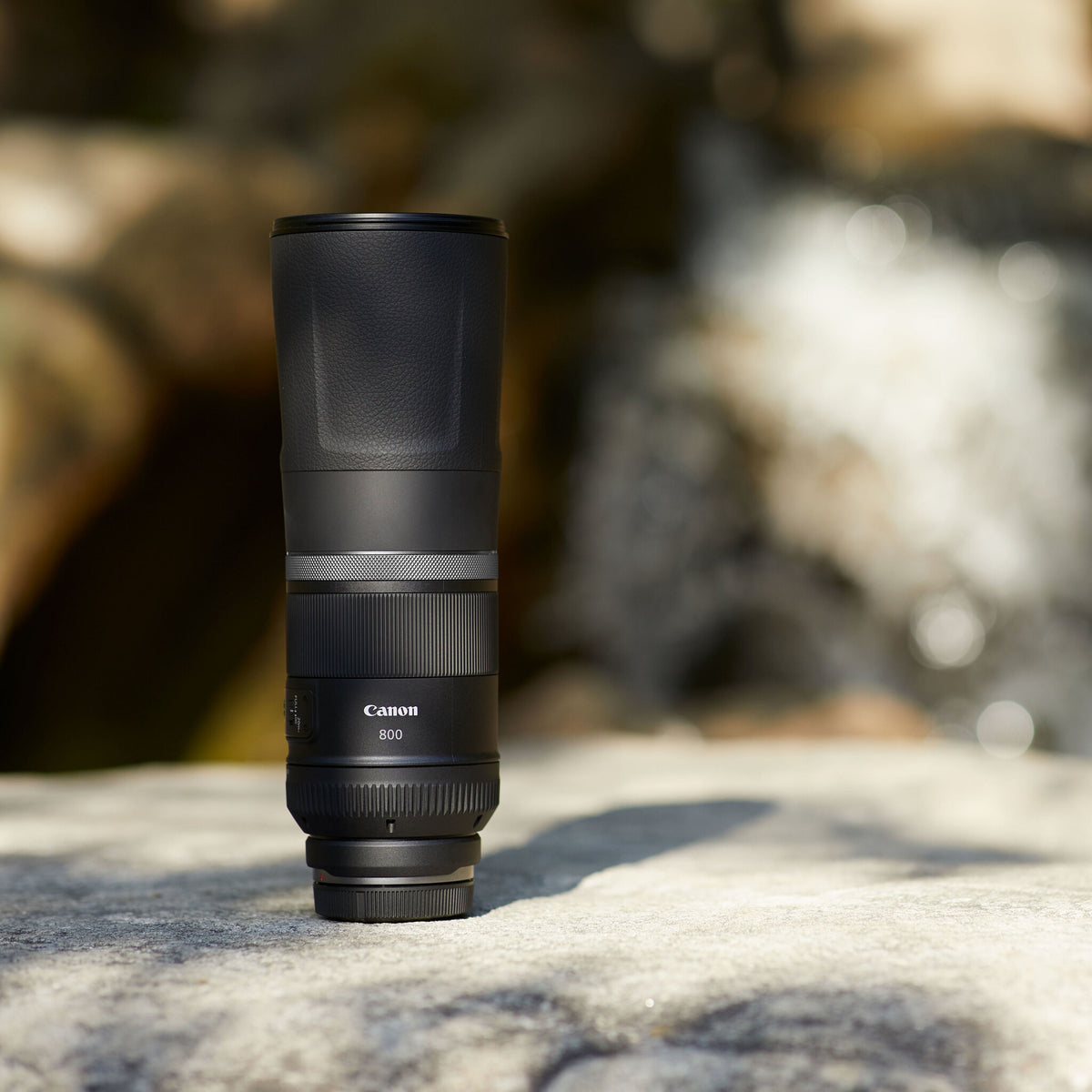 Canon RF 800mm F11 IS STM Lens