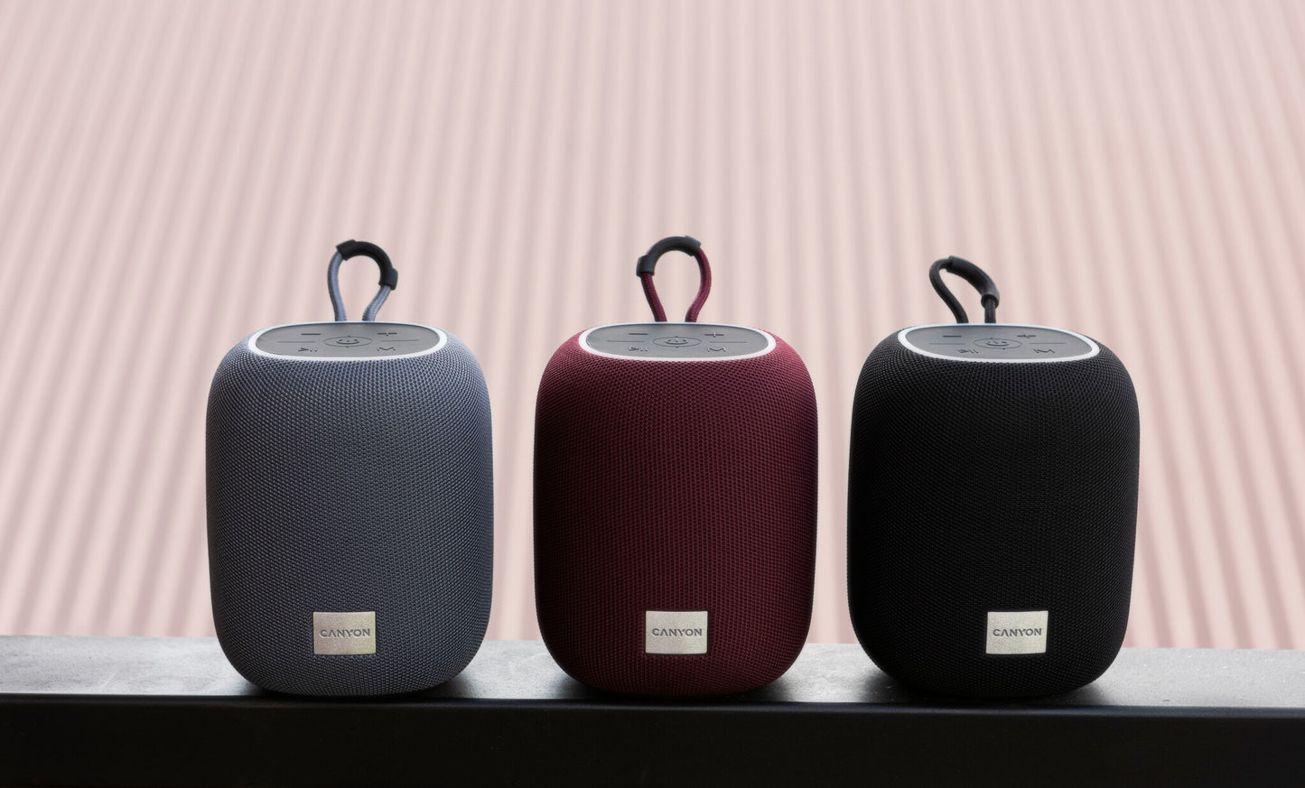 Canyon BSP-8 Mono portable speaker Graphite 10 W