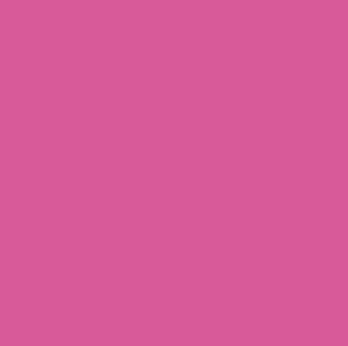 Cricut Infusible Ink Transfer Sheets 2-pack (Party Pink)