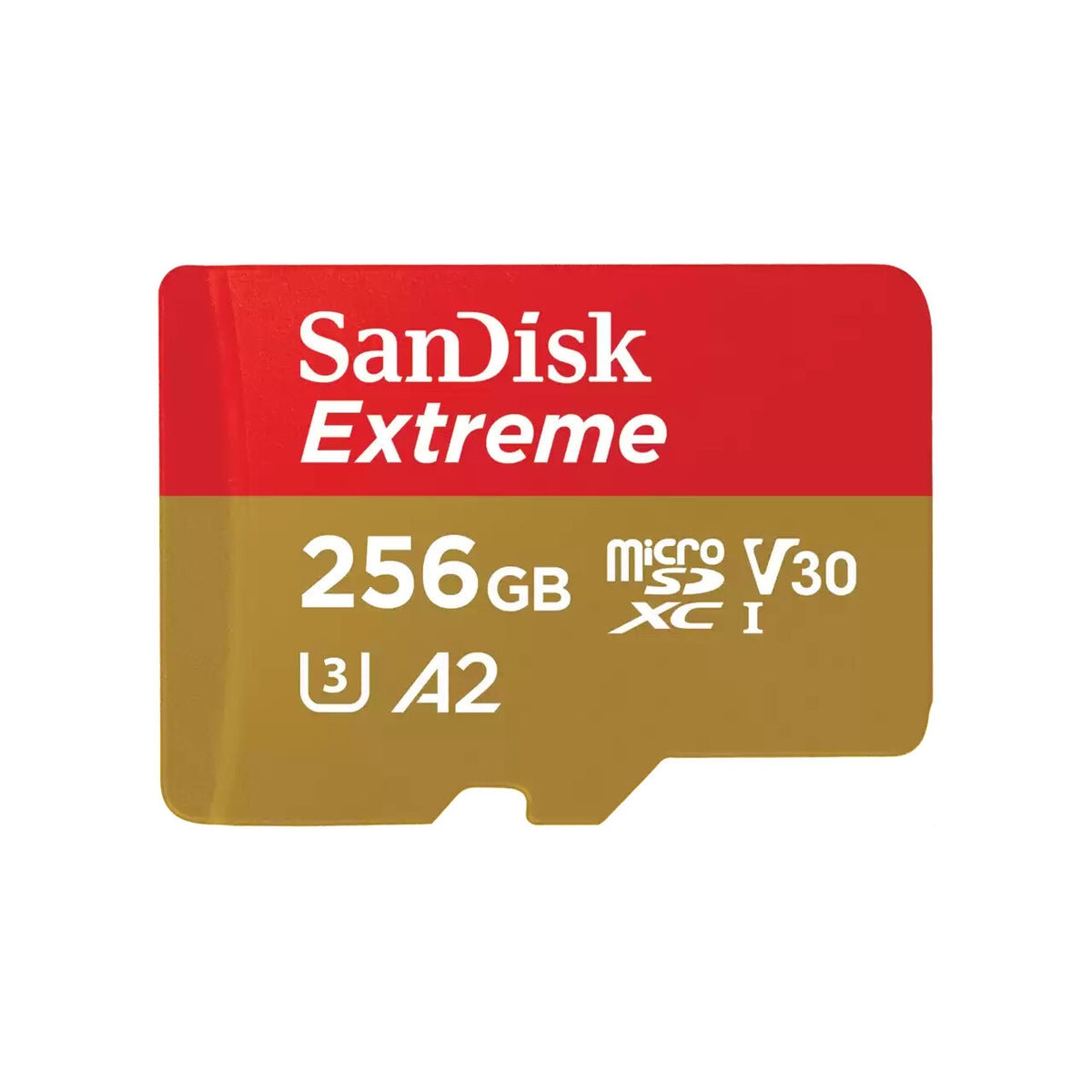 SanDisk SDSQXAV-256G-IN6MS memory card 256 GB MicroSDXC UHS-I Class 3