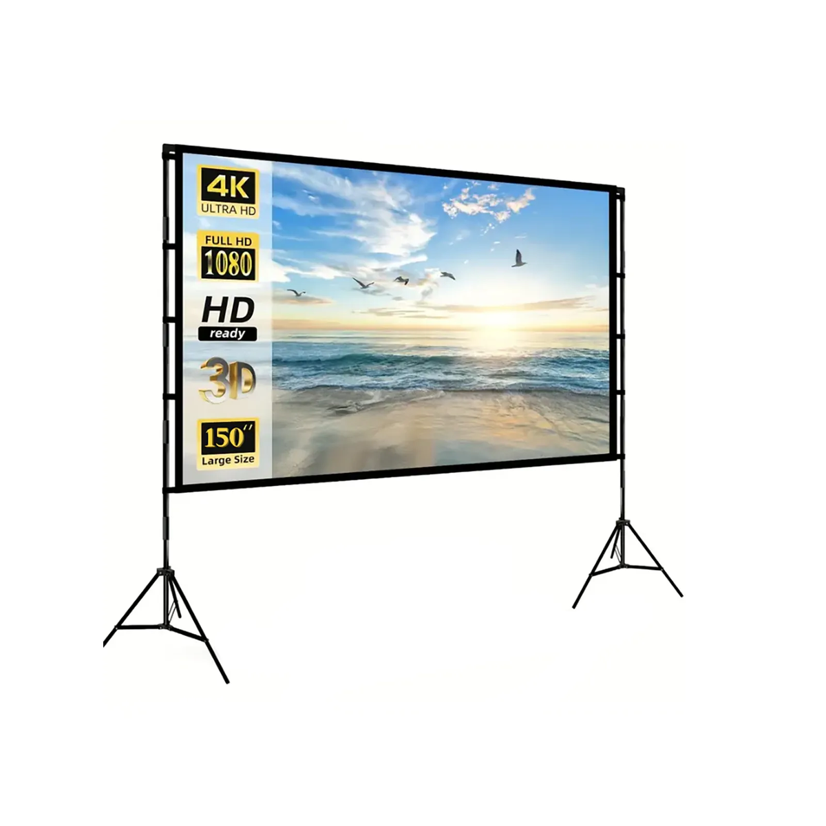 Hisense Pull-Down 100 Projection Screen