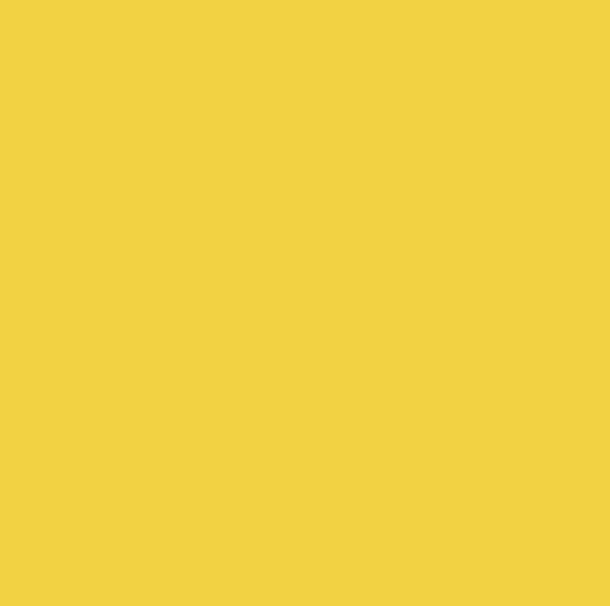 Cricut Infusible Ink Transfer Sheets 2-pack (True Yellow)