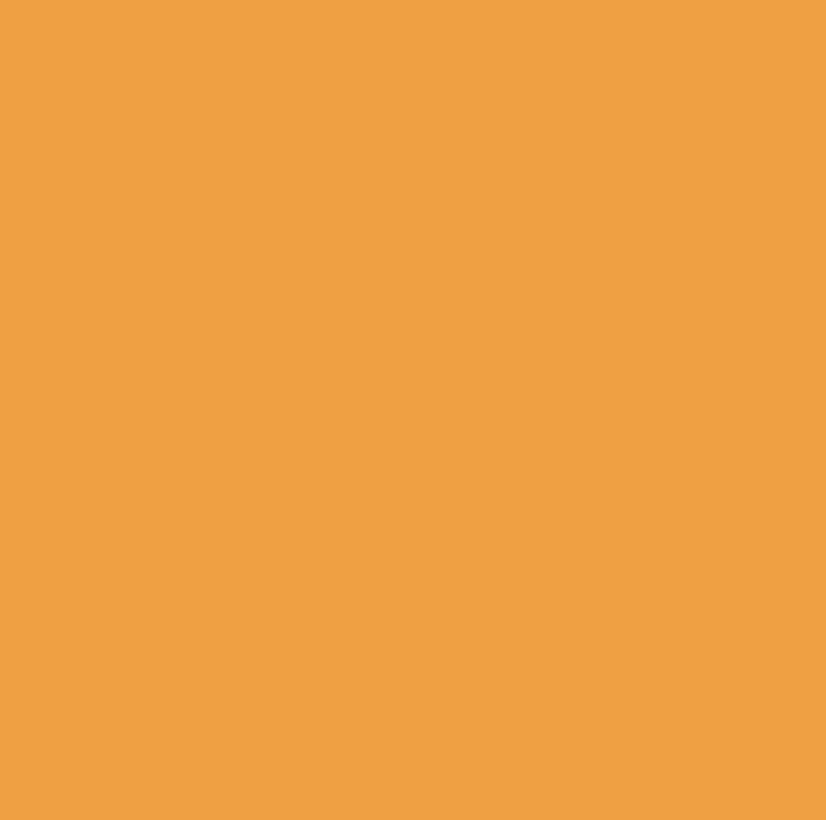 Cricut Infusible Ink Transfer Sheets 2-pack (Tangerine)