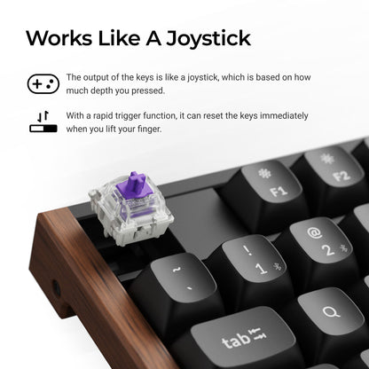 Keychron K10 HE keyboard Gaming USB + RF Wireless + Bluetooth QWERTY English Black