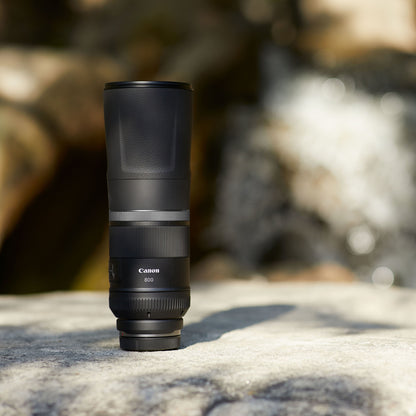 Canon RF 800mm F11 IS STM Lens