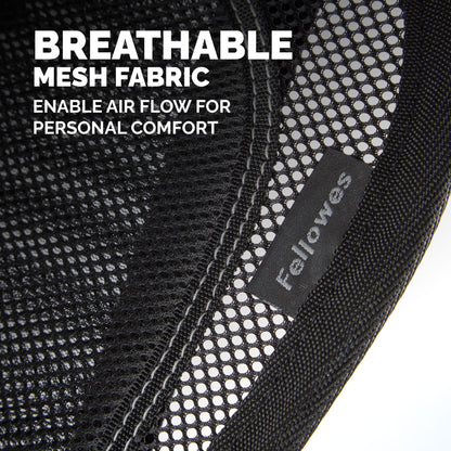 Fellowes Back Support for Office Chair - Professional Series Mesh Office Chair Back Support - Easy To Attach - H19.53 x W30.32 x D36.99cm