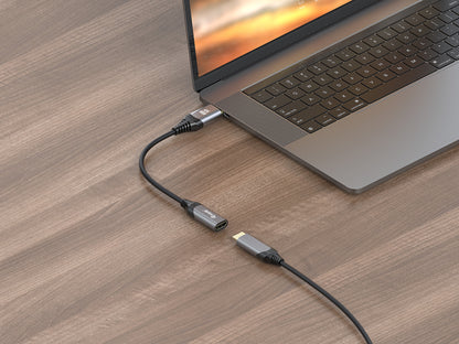 Equip DisplayPort 1.2 to HDMI Adapter, 4K/60Hz