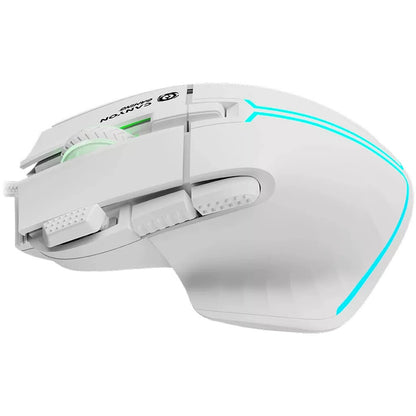 Canyon Fortnax GM-636 mouse Gaming Right-hand USB Type-A Optical 20000 DPI