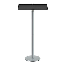 WANBO FLOOR STAND PRO project mount Black, Stainless steel