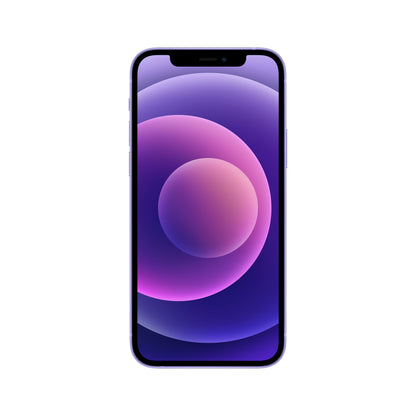 Apple iPhone 12 15.5 cm (6.1") Dual SIM iOS 14 5G 64 GB Purple