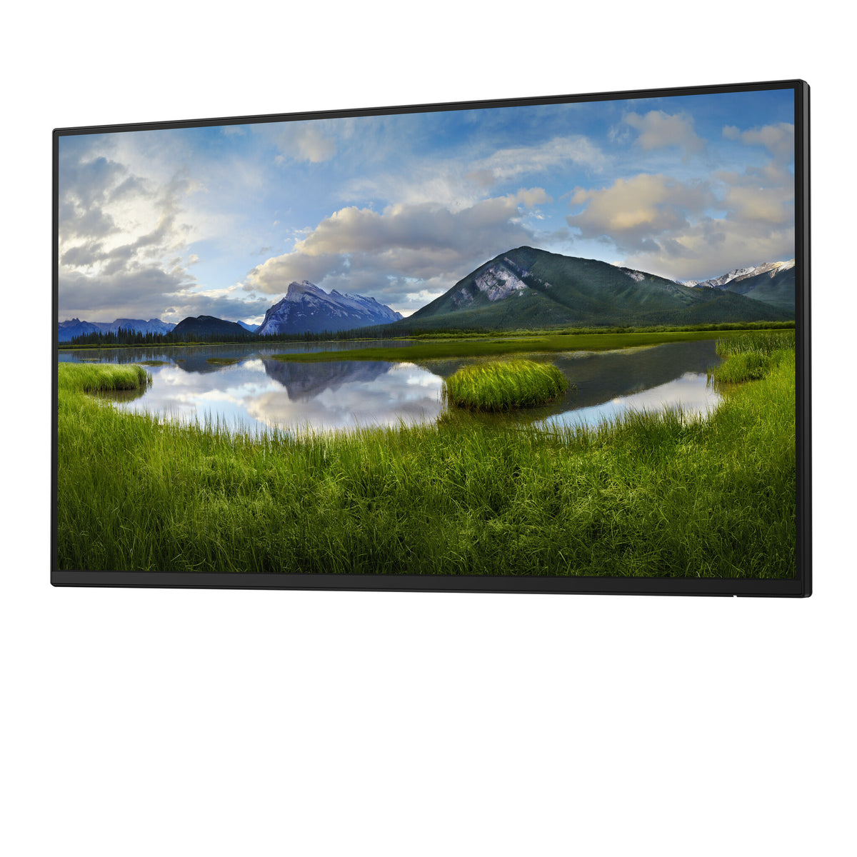 DELL Pro Plus P2425HE_WOST computer monitor 61 cm (24") 1920 x 1080 pixels Full HD LCD Black