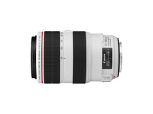 Canon EF 70-300mm f/4-5.6L IS USM SLR Telephoto lens Black, White
