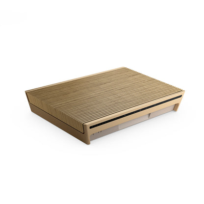 Bang & Olufsen Beosound Level Gold