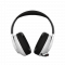 CANYON headset EGO GH-16 3in1 2.4Ghz+BT White
