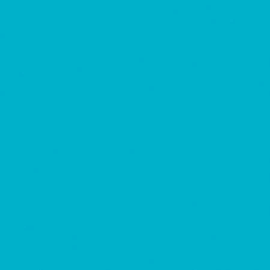 Cricut Premium Removable Turquoise