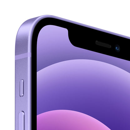 Apple iPhone 12 15.5 cm (6.1") Dual SIM iOS 14 5G 64 GB Purple