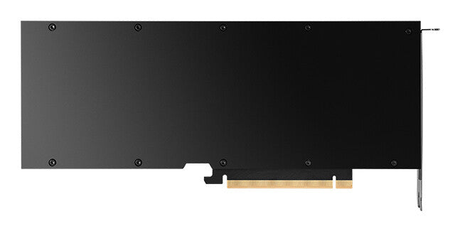 PNY L40S NVIDIA 48 GB GDDR6